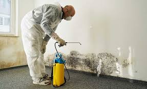 Best Mold Removal for HVAC Installations in Tonawanda, NY